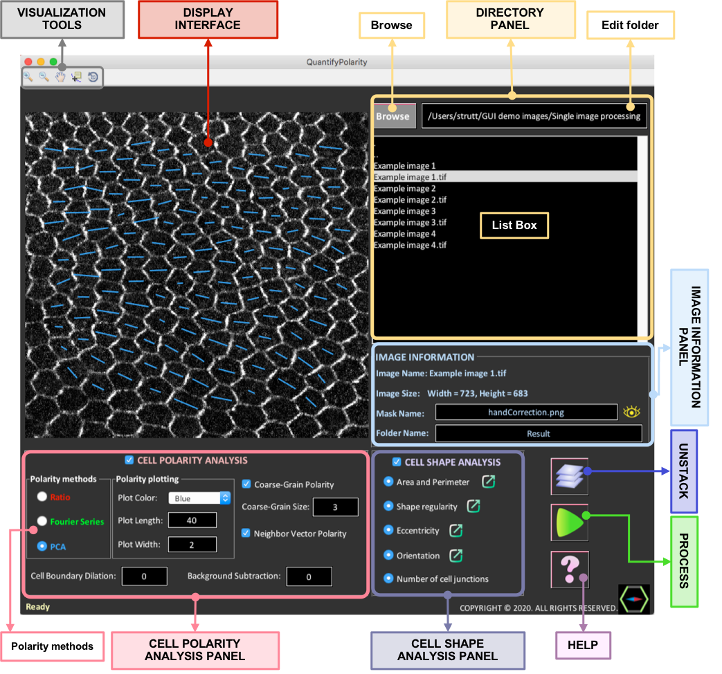 QuantifyPolarity GUI Screenshot